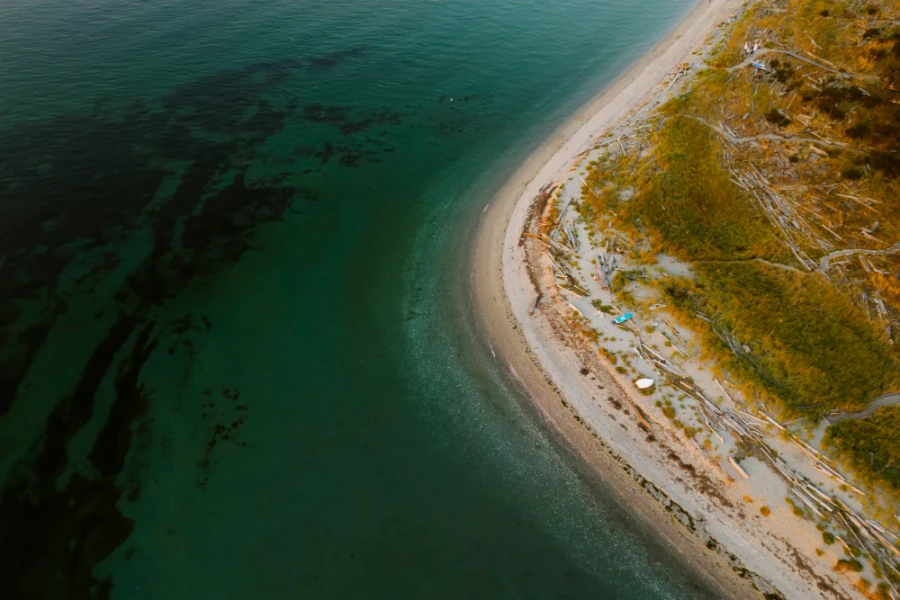 The corner of a horseshoe shaped beach with large driftwood logs swept up on shore.