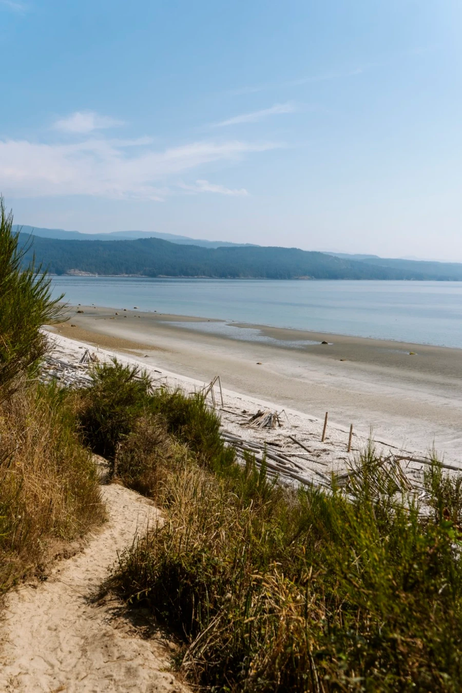 A sandy path leads down to South Beach on Savary Island at low tide