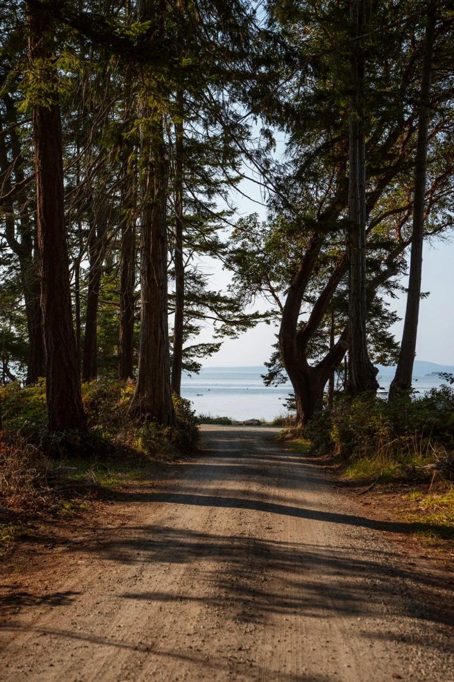 dusty seaside roads of Savary Island