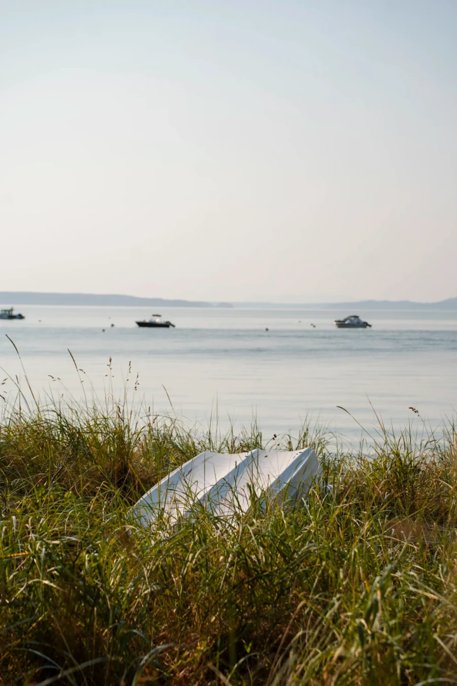 A small boat is partially obscured by tall grass and several boats can be seen out on the water in the distance