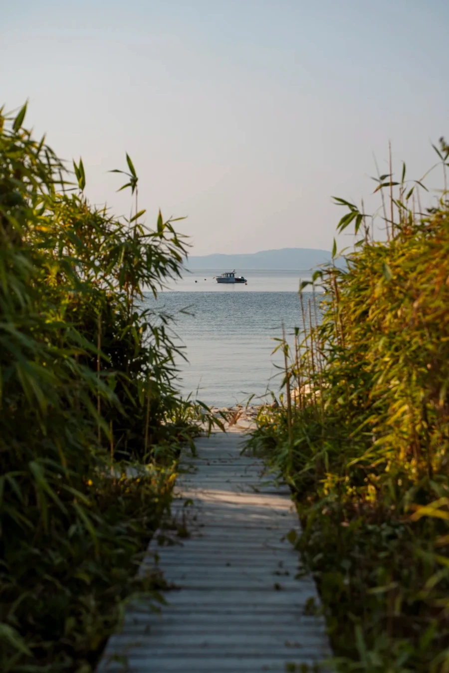 A small wooden path flanked by tall bushes leads down to a sandy beach on Savary Island, BC