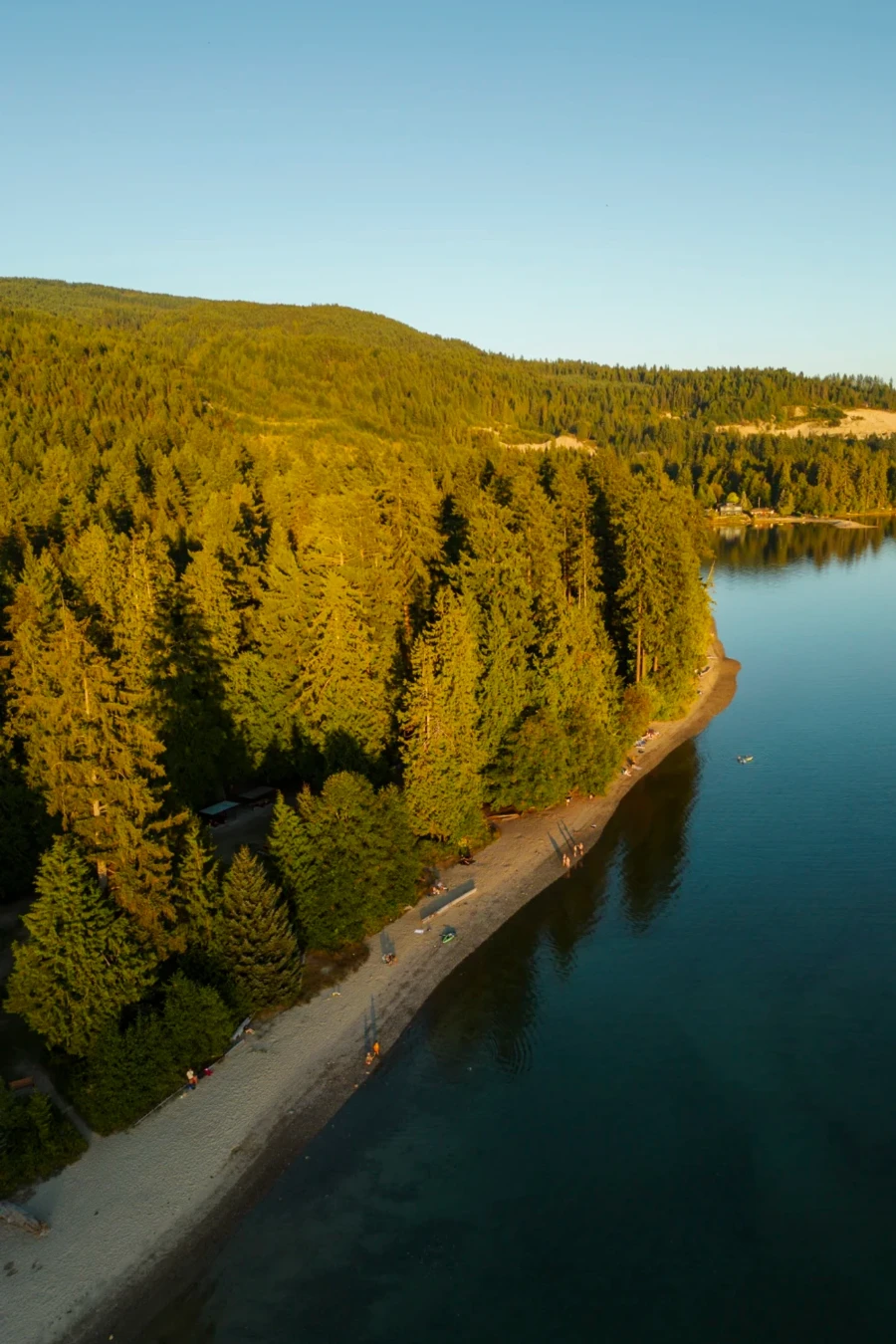 sunset light casting a glow on the trees that line Porpoise Bay Beach near Sechelt, BC