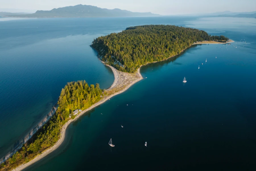 South and North Thormanby island joined together by a large sandbar that is covered in drift wood