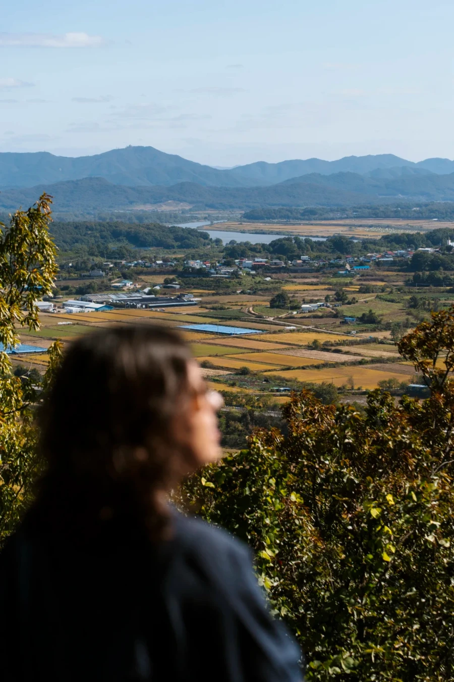 A woman out of focus looking out to the farm land near the North and South Korean border