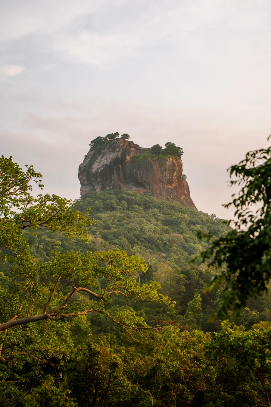 The massive granite cliffs of Lion's Rock framed by two trees
