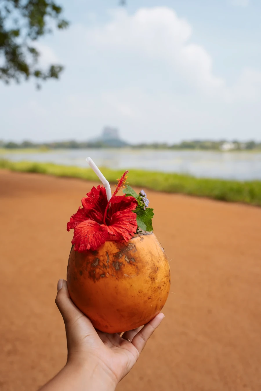 A hand holds a coconut that has been opened for drinking and has a straw and several flowers stuck in the opening