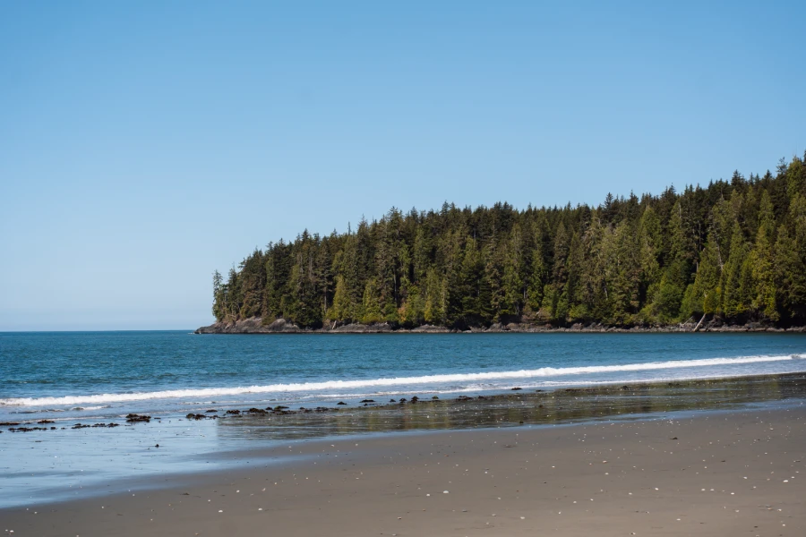 A flat sandy beach with gentle waves crashing on the shore with a densly forested coast in the distance