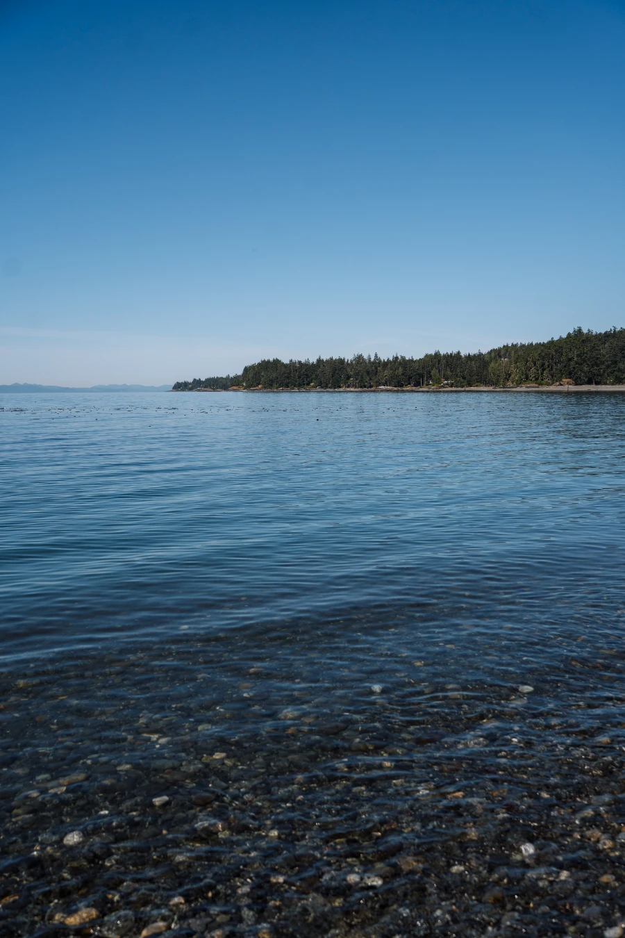 A rocky bay under a thin layer of water