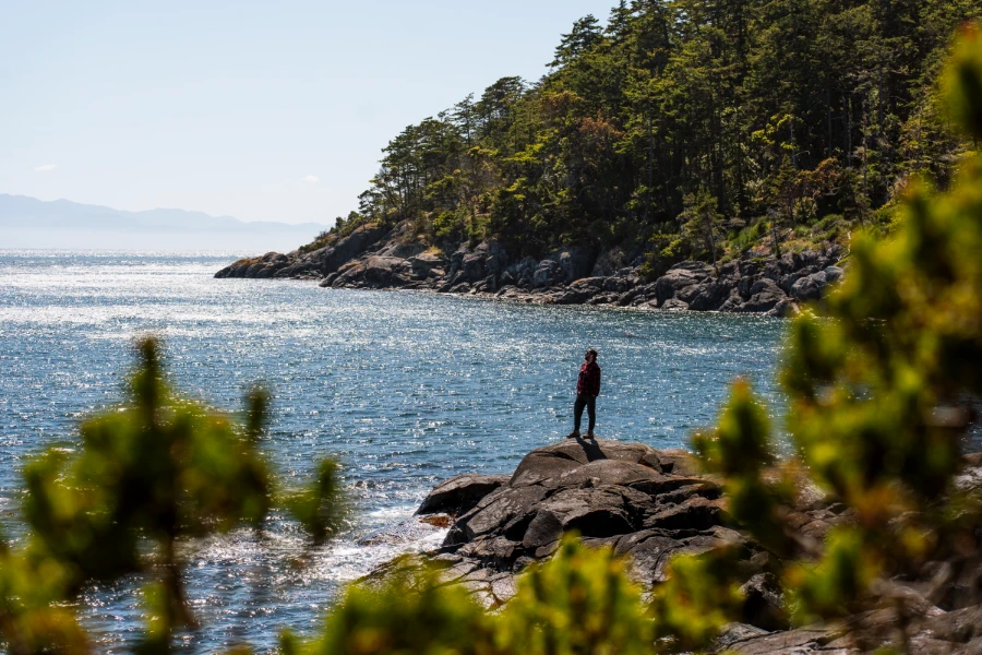 A man stands at the end of a rocky outcrop framed by green trees and standing above a calm sparkling sea in East Sooke Regional Park
