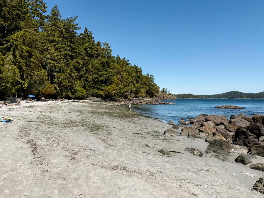 A small white sand beach with a natural border of lush green trees in East Sooke Regional Park