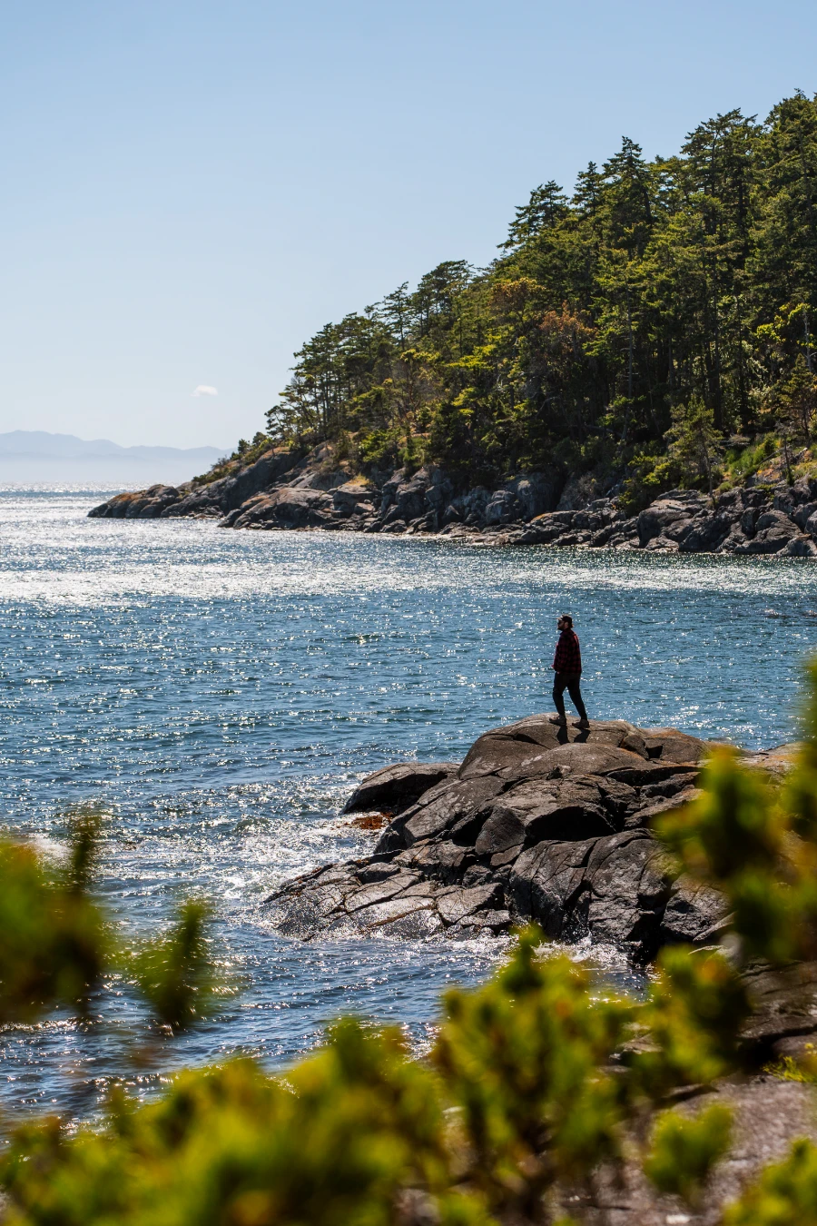 A man stands at the end of a rocky outcrop framed by green trees and standing above a calm sparkling sea in East Sooke Regional Park