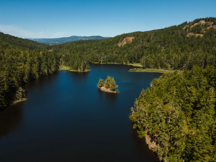A large deep blue lake is surrounded by green trees and has a small island on the lake that is also covered in trees