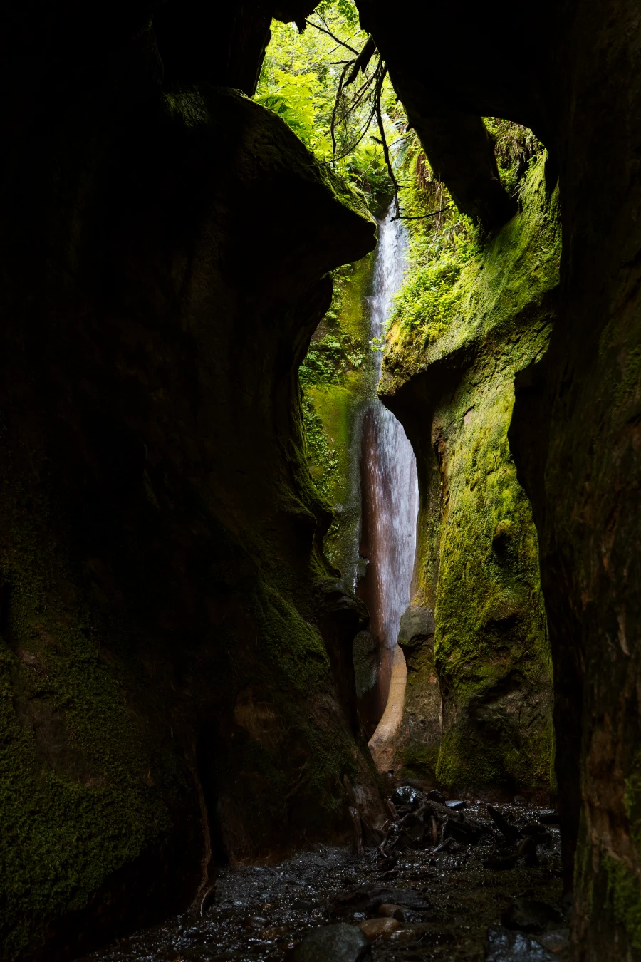 A dark mossy cavern leads to a spot-lit waterfall at the end