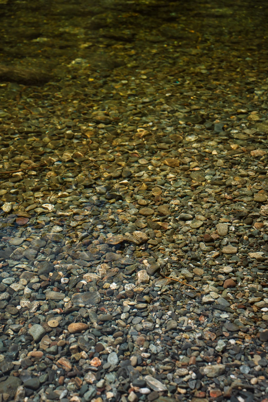 A pebble riverbed shimmer beneath a thin layer of water