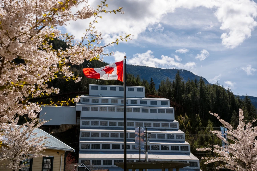 Cherry blossom trees and a waving Canadian flag in front of the Britannia Mine Museum