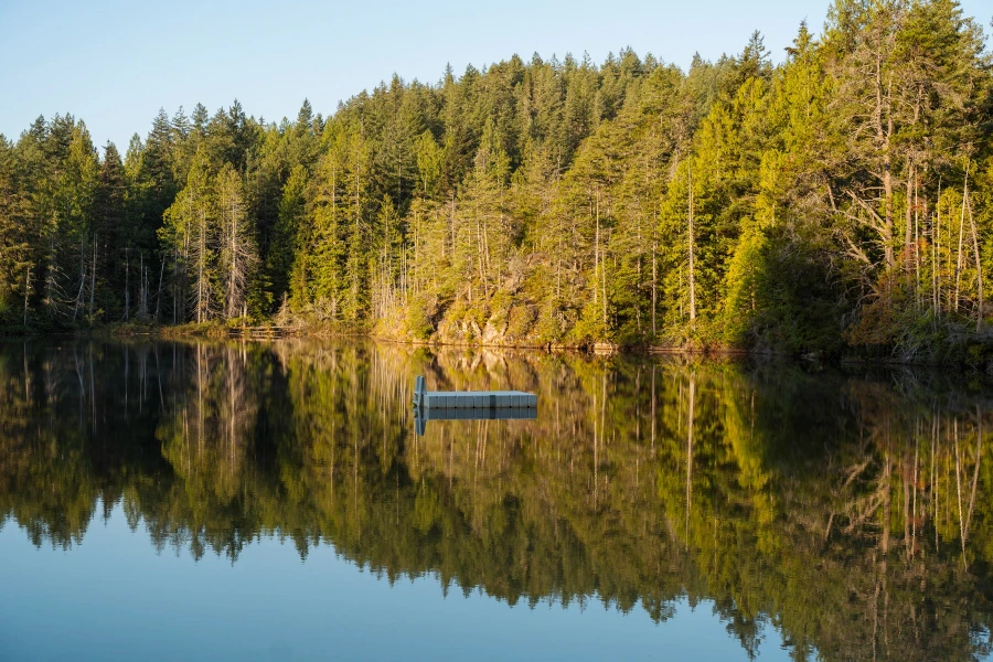 Floating dock sits in the center of a perfectly reflected row of trees in the middle of a lake in Madeira Park, BC