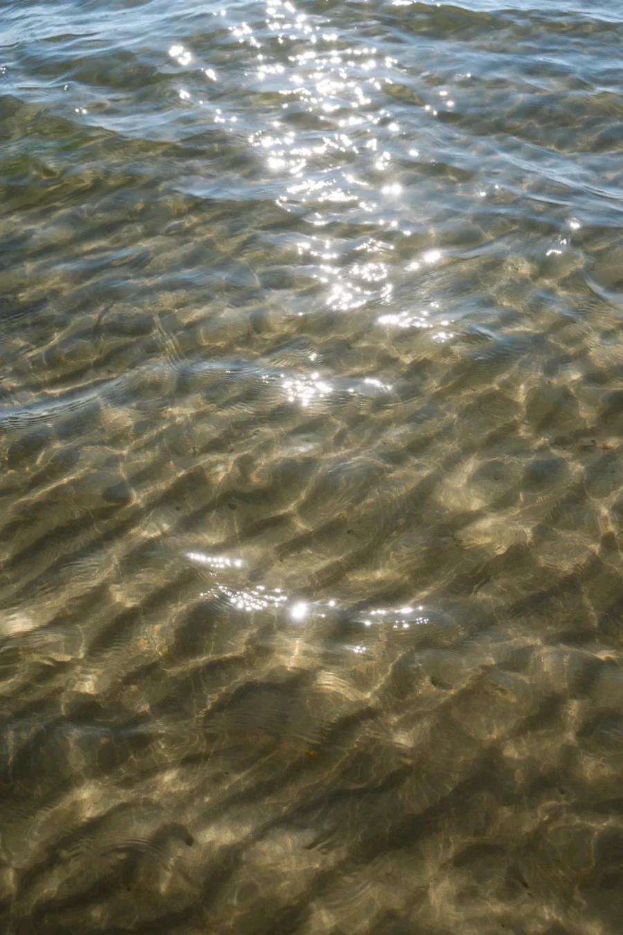 Sparkling shallow water over the rippled sand at Bucaneer Bay on Thormanby Island