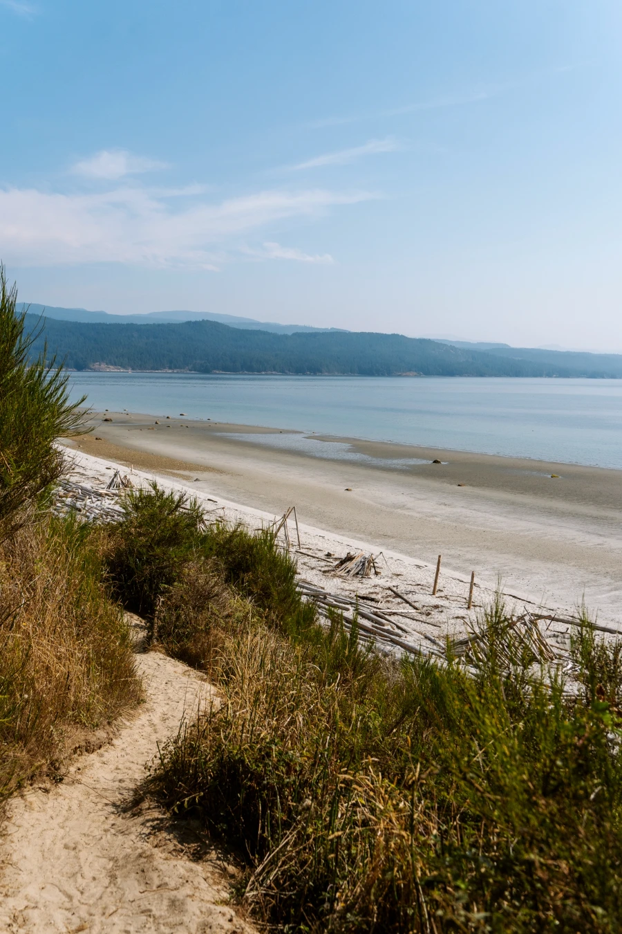 A sandy path leads down to South Beach on Savary Island