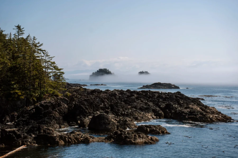 misty seaside rocky outcrop near Ucluelet & Hike the Lighthouse Loop