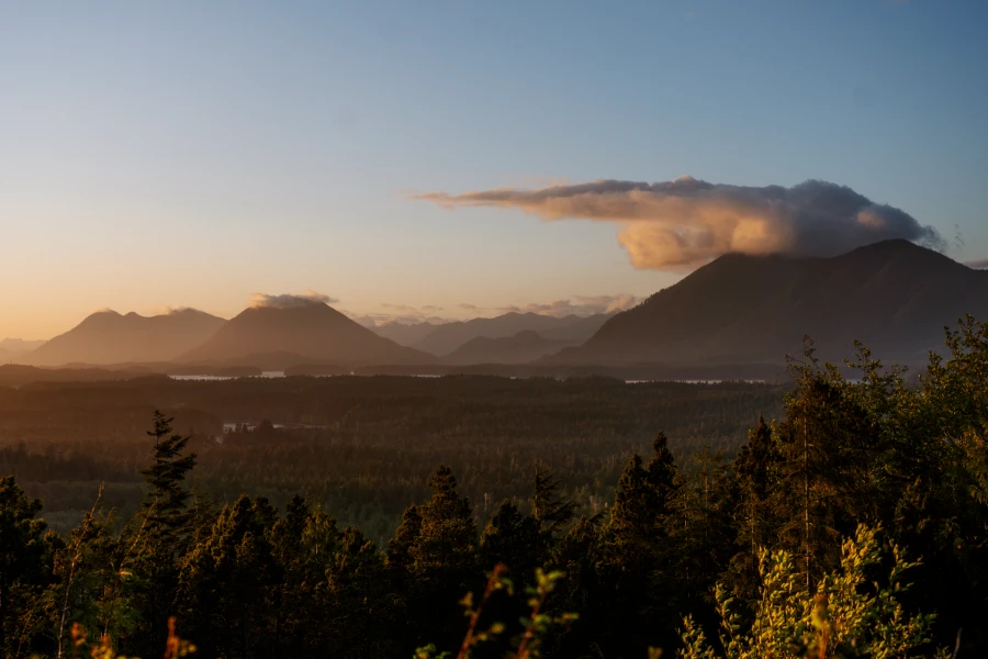 The warm glow of sunset light cast a golden colour on a sea of trees below and cone shaped mountains in the distance from the viewpoint on top of Radar Hill in Tofino