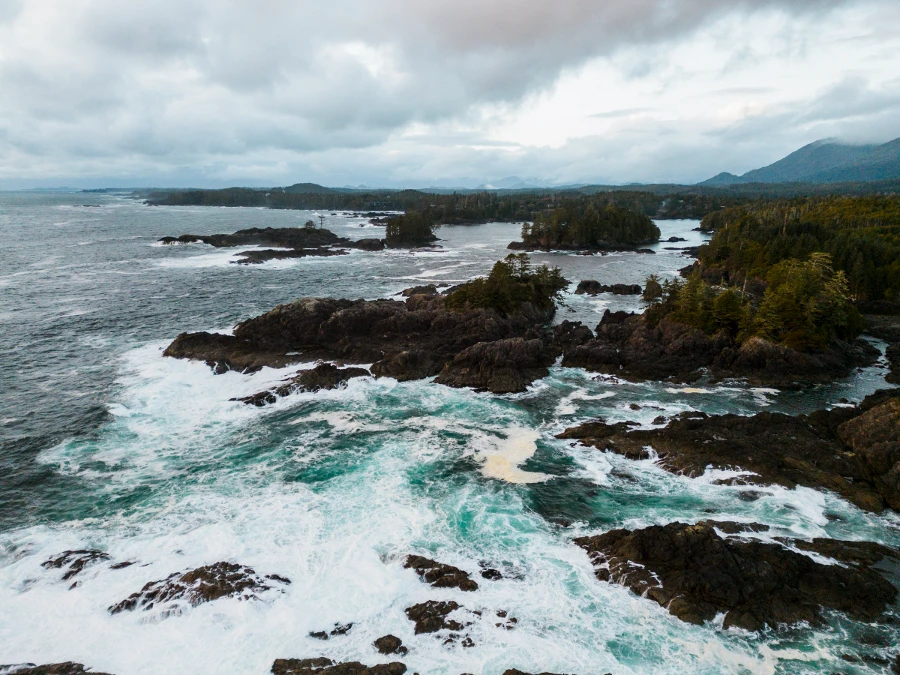 Rough sea water swelling around rocks that stick out from the water along the coast that is lined with rainforest