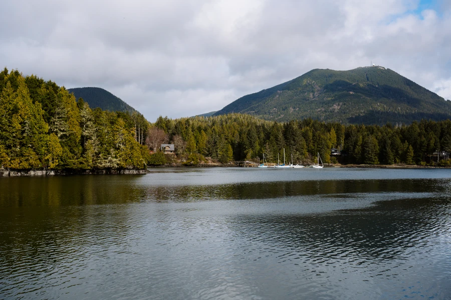 Calm waters with several boats docked on a distant shore that is lined with trees