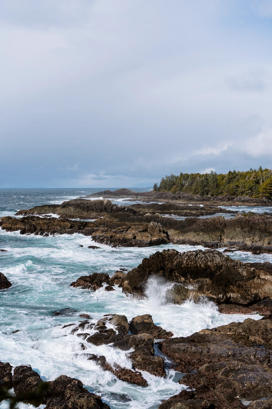 Image related to things to do ucluelet