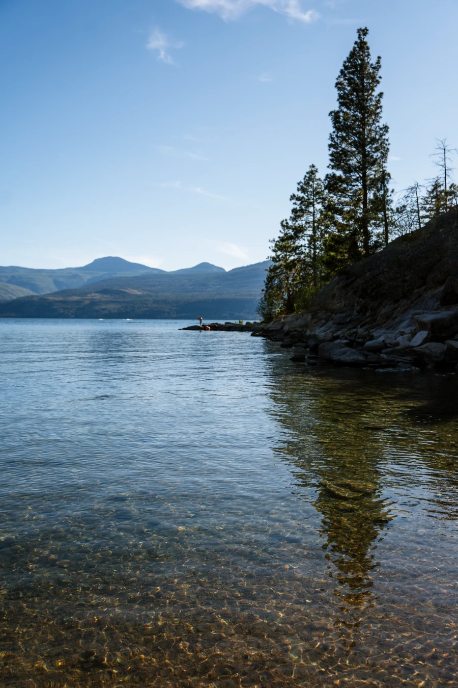 Large evergreen trees growing off the shores of Kalamaka Lake are reflected clearly in the still water