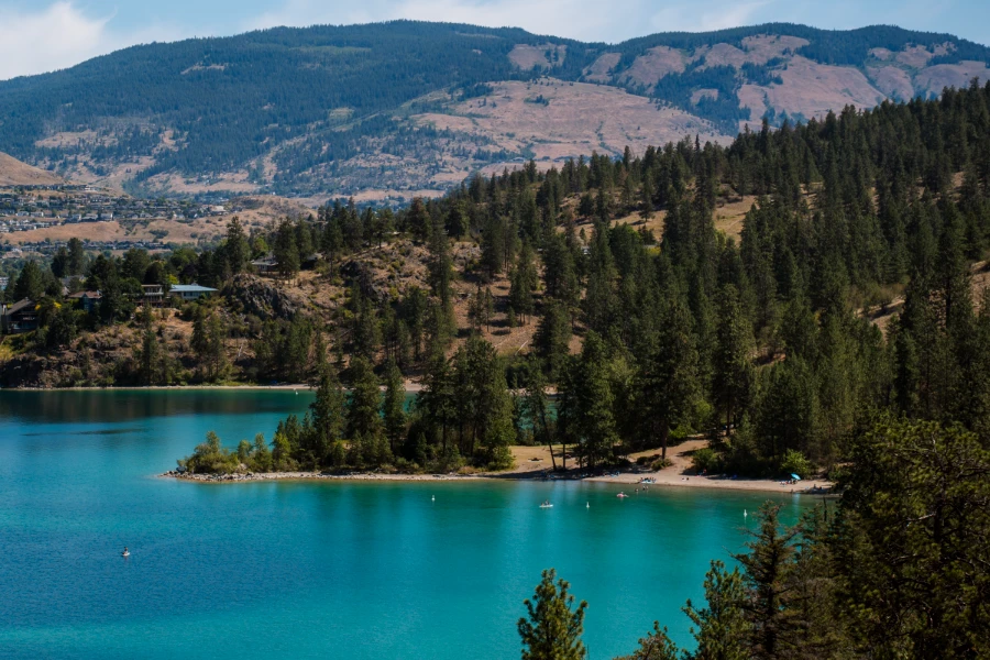 The turquoise bay of Juniper Beach surrounded on all sides by dense green forest