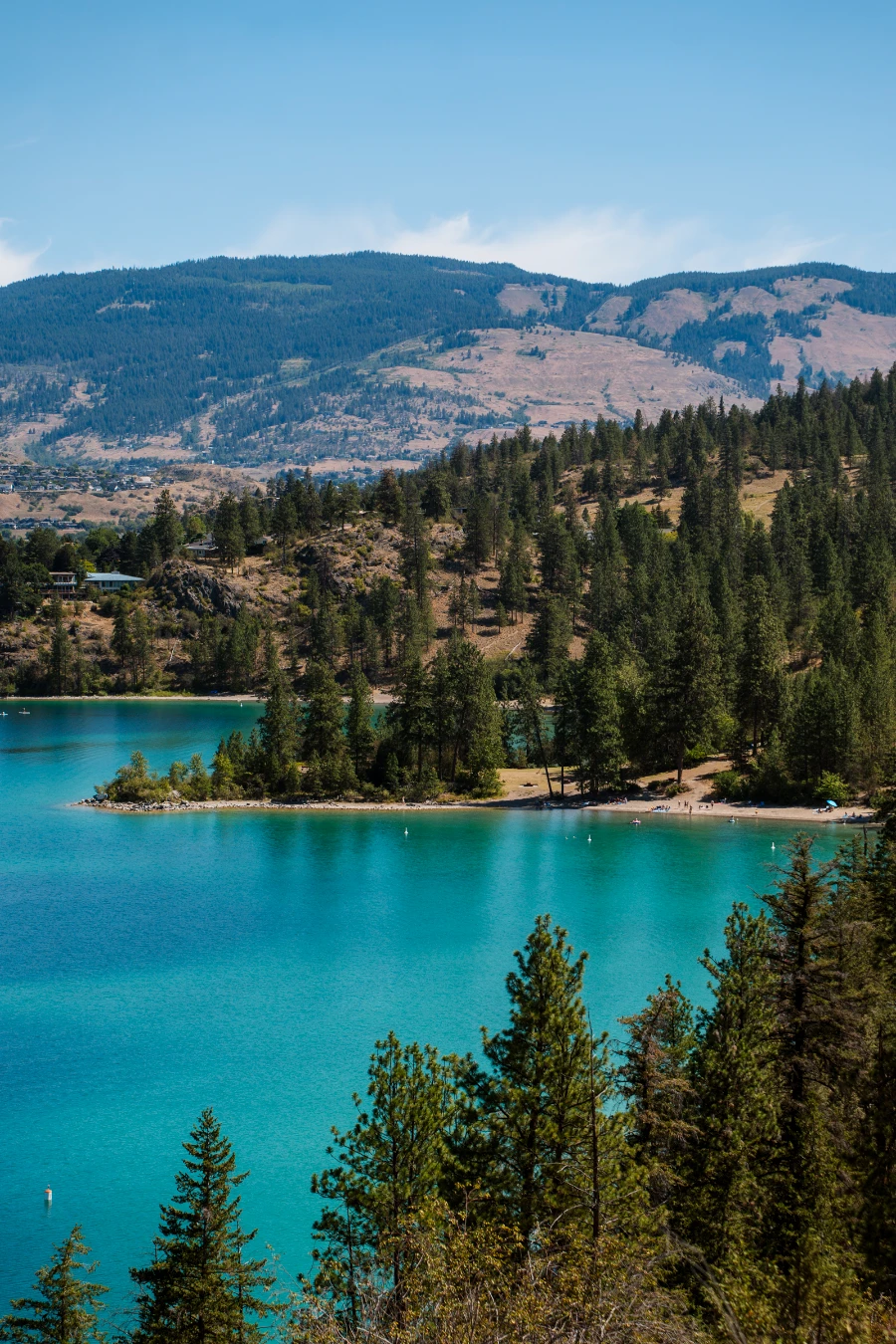 The turquoise bay of Juniper Beach surrounded on all sides by dense green forest
