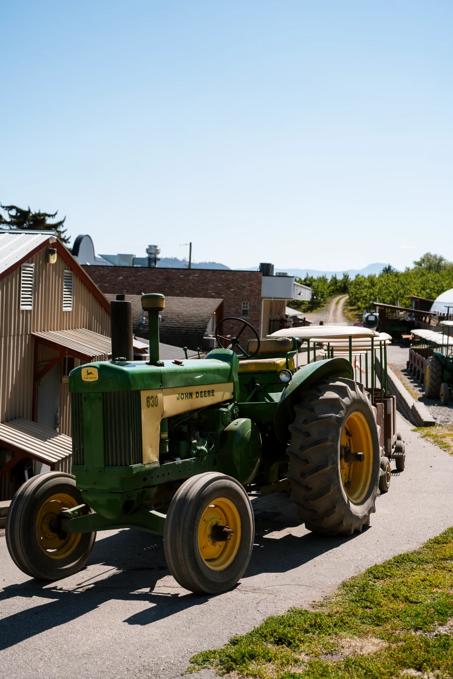 A large green and yellow farm tractor is attached to a row of open-air passenger carts with a narrow road cutting through an orchard behind them
