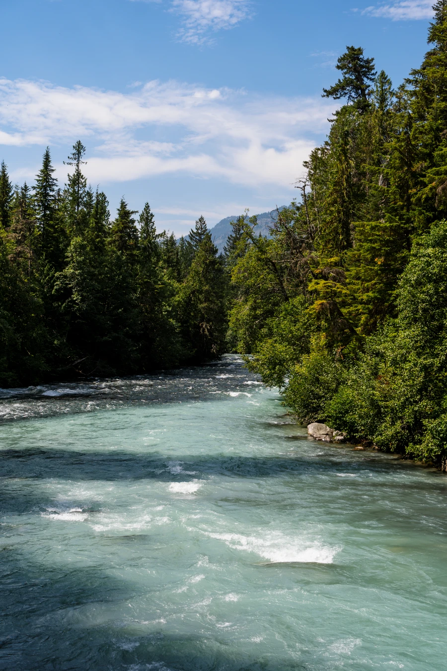 The fast-moving and strikingly blue water of Cheakamus River rushes past two tree-covered shores