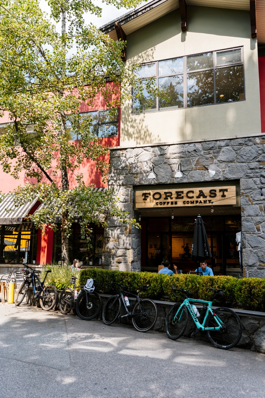 Several bikes leaning along hedges that border the outdoor patio at Forecast Coffee in Function Junction