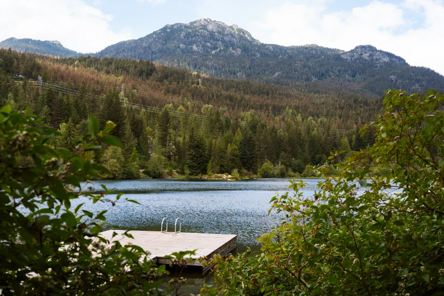 Lush bushes frame a dock on Nita Lake in Whistler