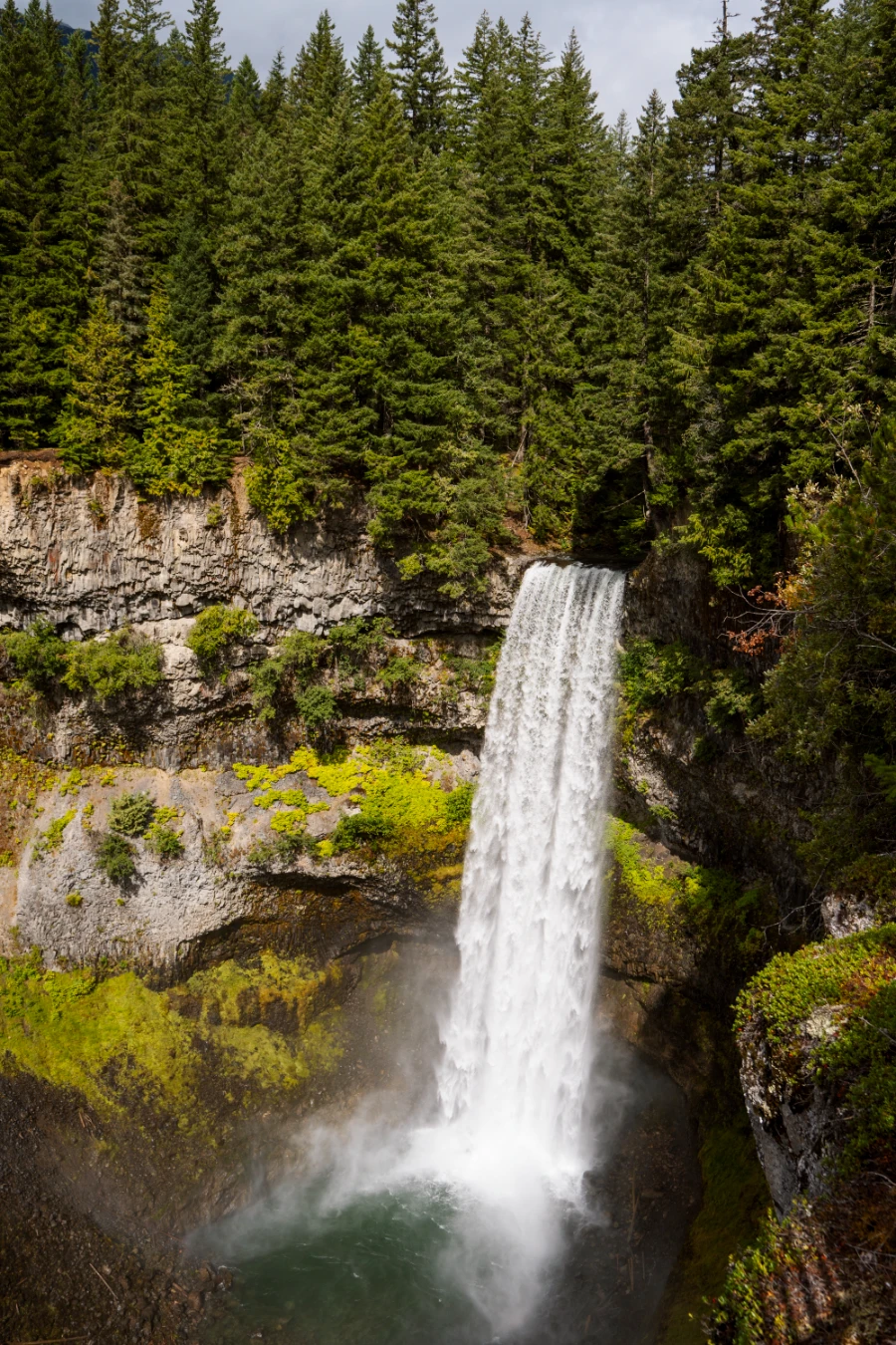 A massive, powerful waterfall pours through a thick forest and over the edge of a cliff where it plummets into a large pool below