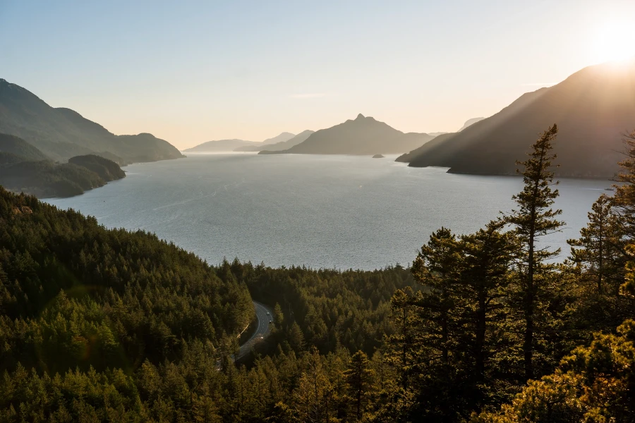 The Sea to Sky Highway bends through a forest along the edge of the Howe Sound in the warm sunset light