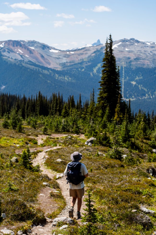27 Best Things To Do In Whistler In The Summer (2026 Local Guide)