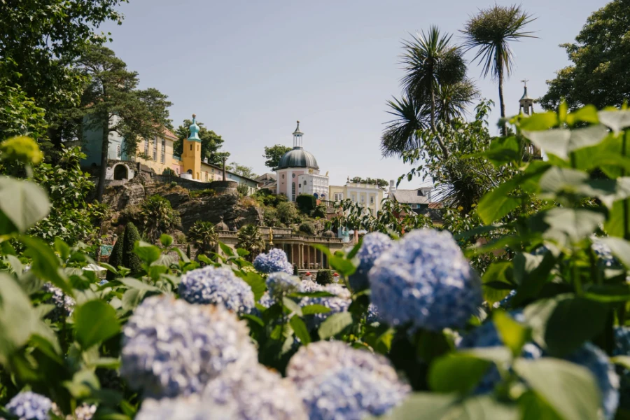 A line of multi-colored pastel buildings and a large veranda are framed by large blue flowers in Portmeirion, Wales