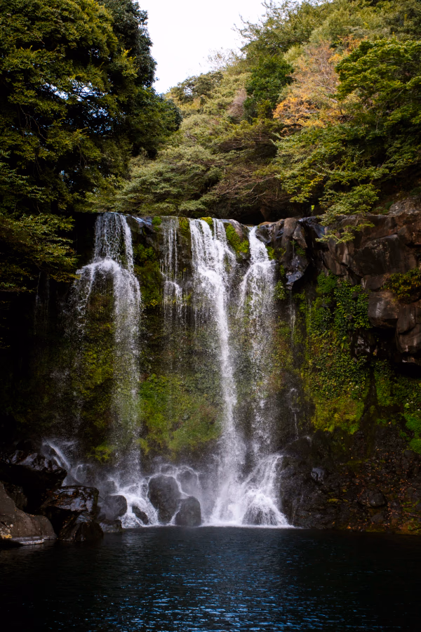 Cheonjeyeon Waterfall pours over a leafy cliff face into a large pool below on Jeju Island