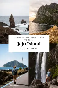 Pinterest preview