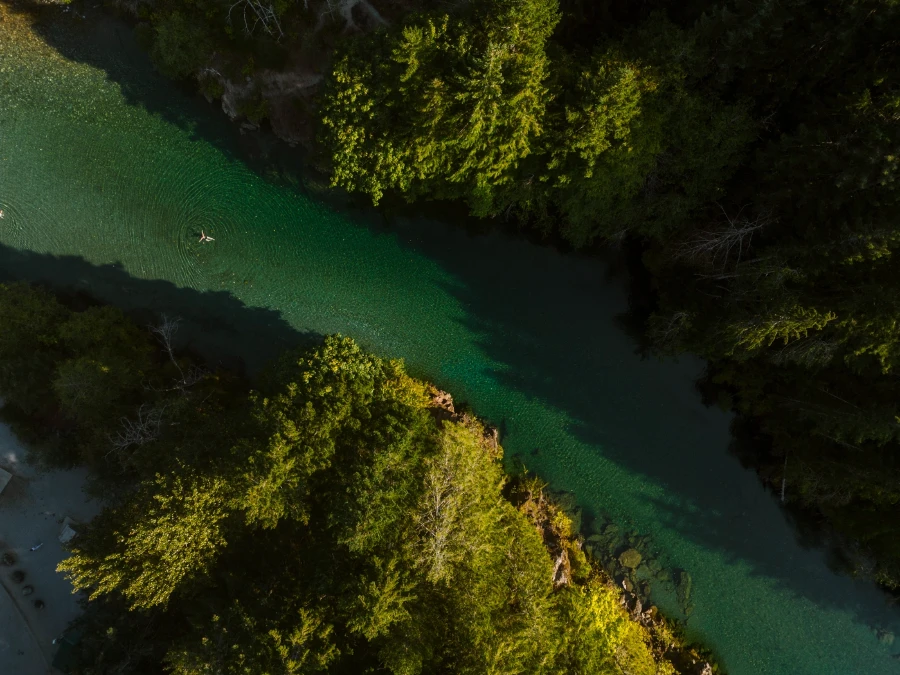 A lone person floats on their back in the middle of a massive river lined on both sides by dense forest