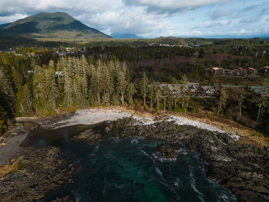 Calm water sits in a tree lined back with the town of Ucluelet scattered throughout the forest behind it