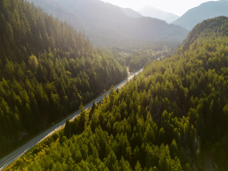 A two lane highway cuts straight through a huge forested area on the way to Ucluelet, BC