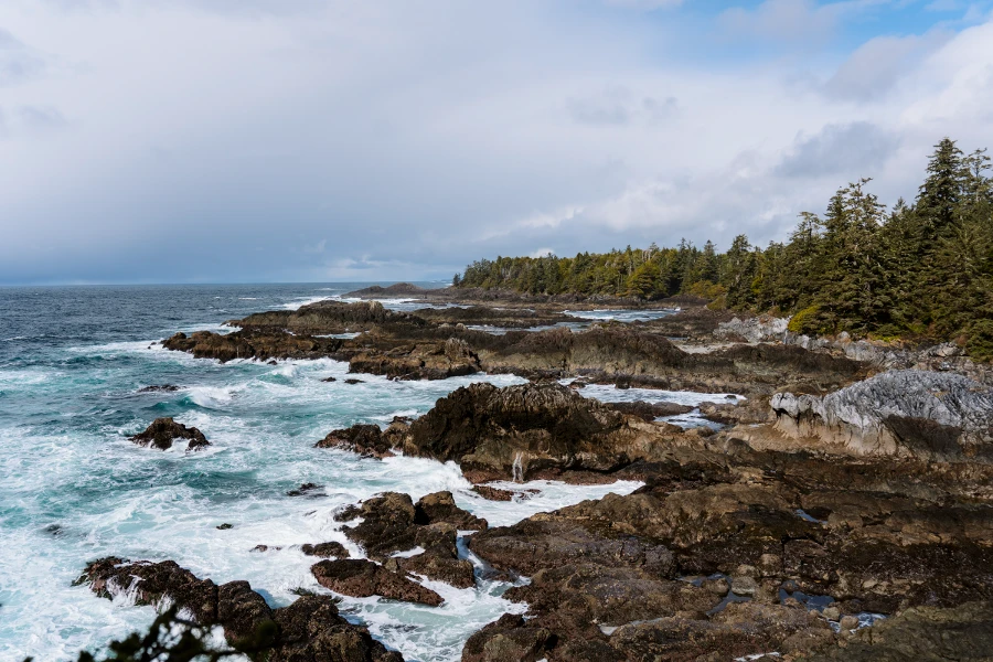 Choppy waves crash into the rocky tree lined shore near Ucluelet, BC