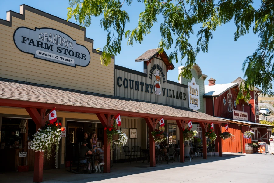 A large open area in front of a line of shops that are all vaguely farm themed