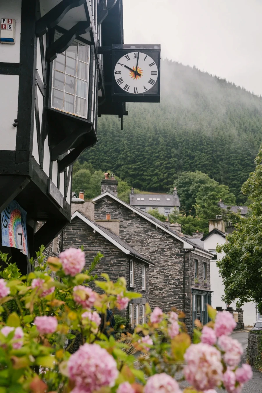 Pink flowers frame old stone houses that sit at the bottom of a forested hill in Corris, Wales