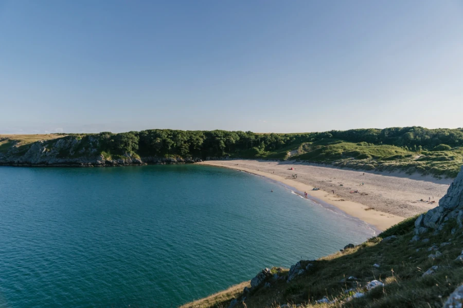 A strip of sandy beach is capped on both sides by forested cliffs in Barafundle Bay, Wales