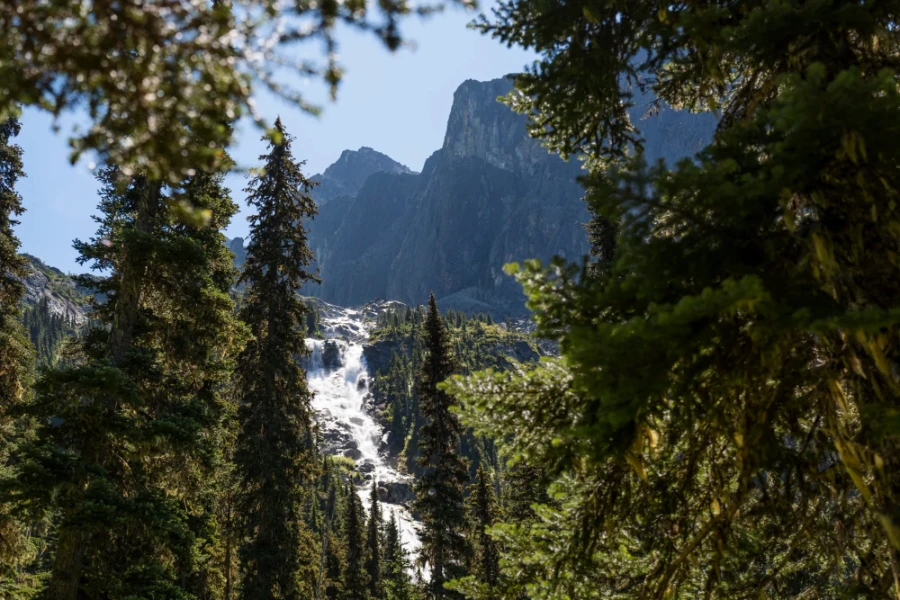 waterfall in the distance between trees on the trail to Wedgemount Lake