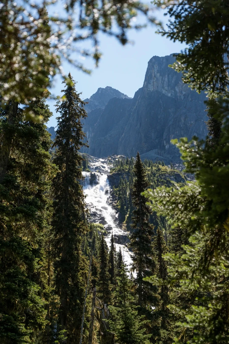 distant waterfall between trees near Wedge Lake, BC
