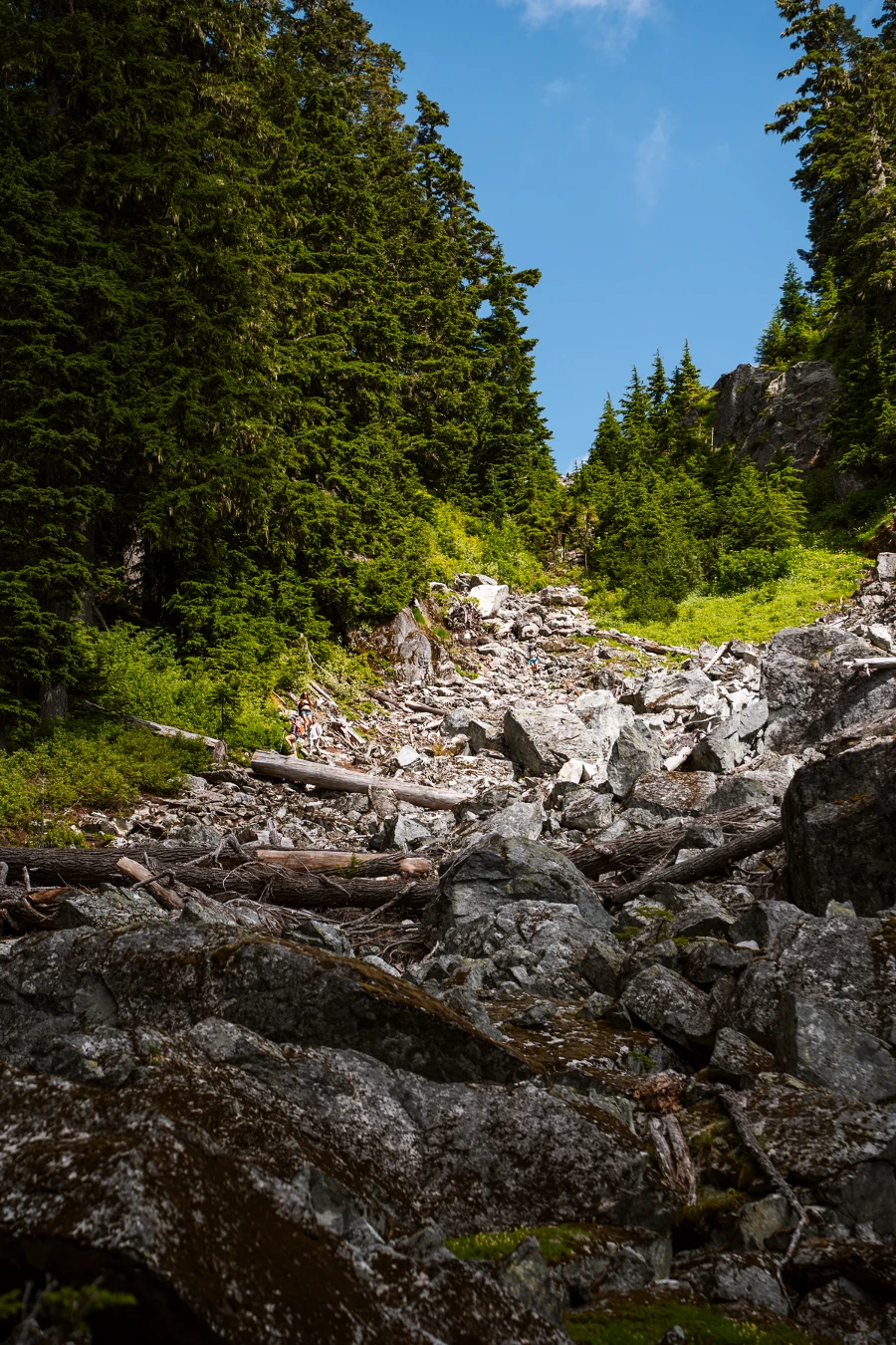 Image related to wedgemount vs watersprite lake